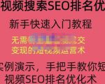 宋老师·短视频搜索SEO优化,教你10分钟创作一个短视频,三天排名上第一-网赚项目众筹网