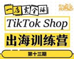 TikTokShop出海训练营(第十三期),打开全球流量新思维,出海抢占全球新流量,一店卖全球-网赚项目众筹网