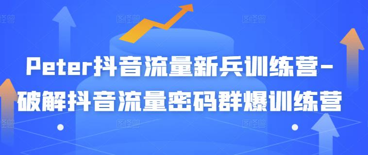 Peter抖音流量新兵训练营-破解抖音流量密码群爆训练营（新兵）-网赚项目众筹网