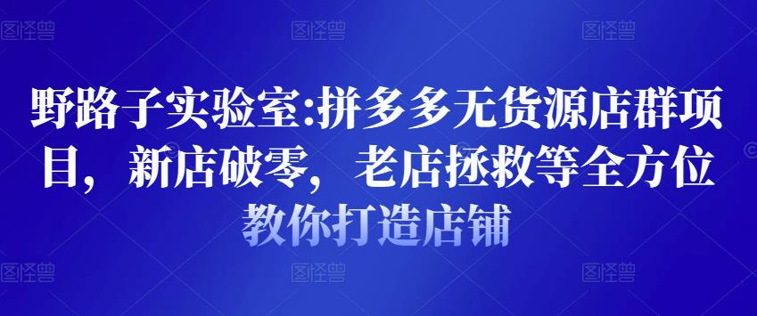 野路子实验室:拼多多无货源店群项目，新店破零，老店拯救等全方位教你打造店铺-网赚项目众筹网