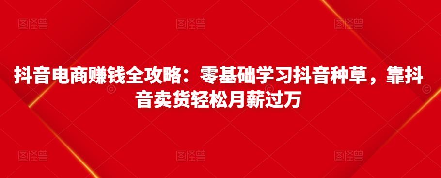 抖音电商赚钱全攻略：零基础学习抖音种草，靠抖音卖货轻松月薪过万-网赚项目众筹网