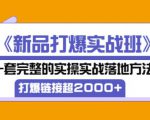 凌童《新品打爆实战班》,一套完整的实操实战落地方法,打爆链接超2000+(28节课)-网赚项目众筹网