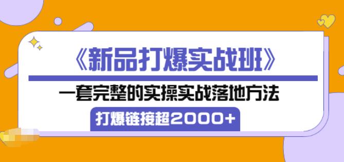 凌童《新品打爆实战班》,一套完整的实操实战落地方法，打爆链接超2000+（28节课)-网赚项目众筹网