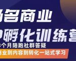 杨名商业IP孵化训练营，从商业到内容到转化一站式学 价值5980元-网赚项目众筹网
