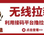 最新接码无限拉新项目，利用接码平台赚拉新平台差价，轻松日赚500+-网赚项目众筹网