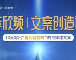 李欣频|文案创造课,0基础可报10天写出“看到就想转”的自媒体文案-网赚项目众筹网
