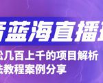 抖音最新蓝海直播玩法,3分钟赚30元,一天轻松1000+,只要你去直播就行【详细玩法教程】-网赚项目众筹网