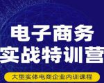 民赛电气内部出品:电子商务实战特训营,全方位带你入门电商,308种方式玩转电商-网赚项目众筹网