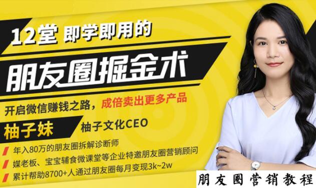 【营销必学】12堂学之即用的朋友圈掘金术：开启你的副业赚钱之路-网赚项目众筹网