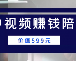 中视频赚钱陪跑,卖中视频账户赚钱收益陪跑项目(价值599元)-网赚项目众筹网