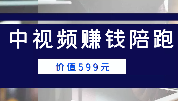 中视频赚钱陪跑，卖中视频账户赚钱收益陪跑项目（价值599元）-网赚项目众筹网