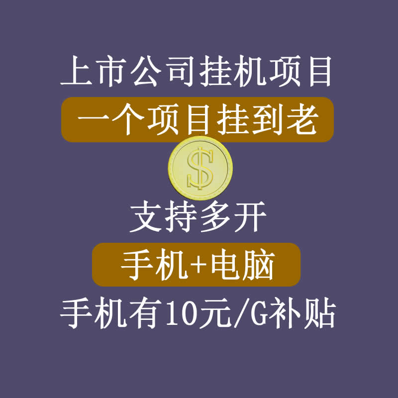 正规挂机项目，支持手机电脑一起挂，支持虚拟机多开，可以挂到老-网赚项目众筹网