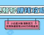 玩转微信视频号赚钱:小白变大咖涨粉百万实现快速变现1000万的现金流-网赚项目众筹网