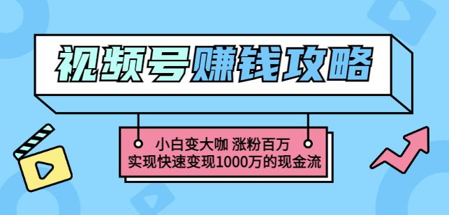 玩转微信视频号赚钱：小白变大咖涨粉百万实现快速变现1000万的现金流-网赚项目众筹网