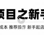 虚拟项目快速起店模式,0成本打造月入几万虚拟店铺!-网赚项目众筹网