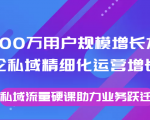 8000万用户规模增长方法论私域精细化运营增长,私域流量硬课助力业务跃迁-网赚项目众筹网