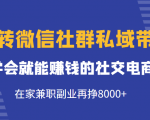 玩转微信社群私域带货,学会就能赚钱的社交电商,在家兼职副业再挣8000+-网赚项目众筹网