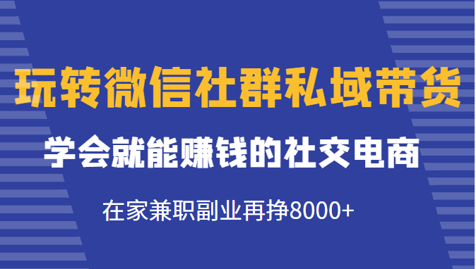 玩转微信社群私域带货，学会就能赚钱的社交电商，在家兼职副业再挣8000+-网赚项目众筹网