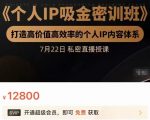 个人IP吸金密训班,打造高价值高效率的个人IP内容体系(价值12800元)-网赚项目众筹网