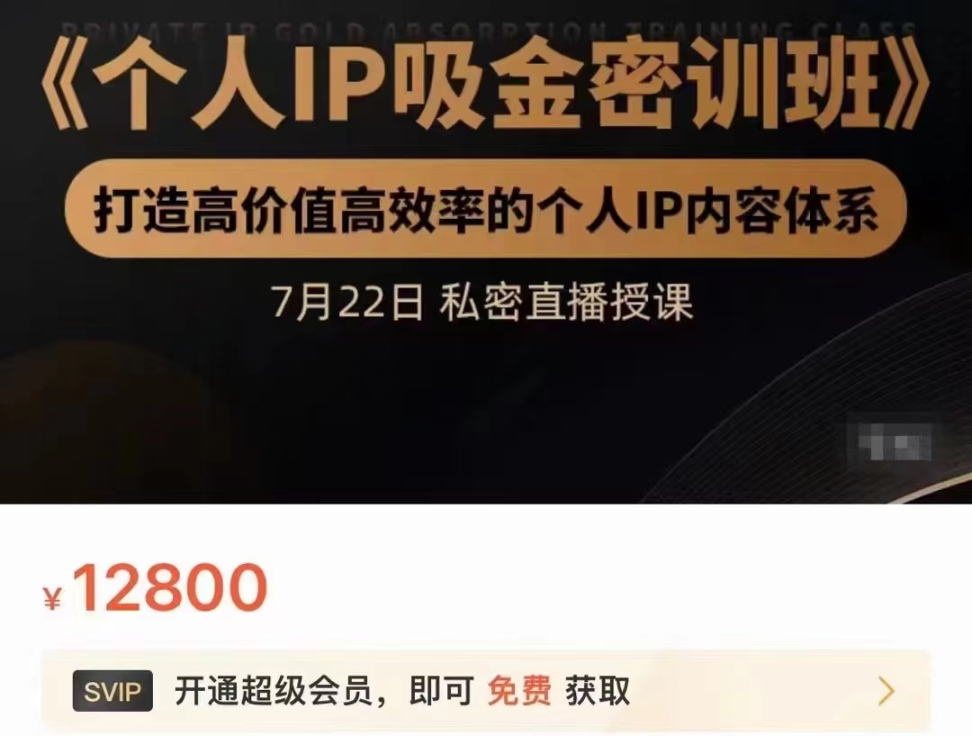 个人IP吸金密训班，打造高价值高效率的个人IP内容体系（价值12800元）-网赚项目众筹网