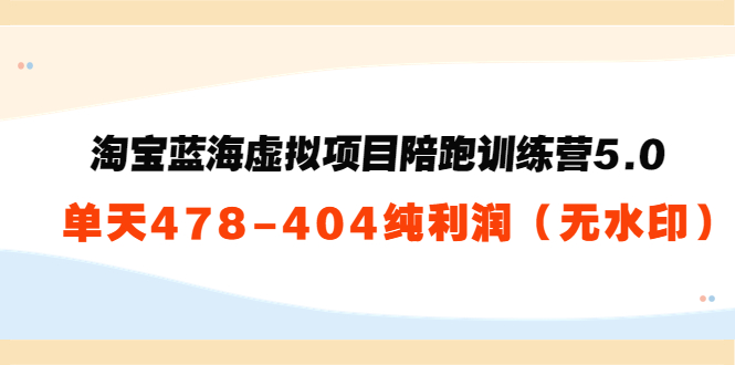 淘宝蓝海虚拟项目陪跑训练营5.0：单天478纯利润-网赚项目众筹网