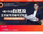 0粉0作品自然流正价起号及稳号全教程,专业自然流起号机构流程化教学(价值2980元)-网赚项目众筹网