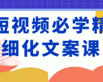 短视频必学精细化文案课,提升你的内容创作能力、升级迭代能力和变现力(价值333元)-网赚项目众筹网