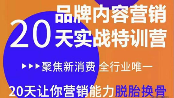 《内容营销实操特训营》20天让你营销能力脱胎换骨（价值3999）-网赚项目众筹网