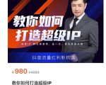 教你如何打造超级IP，抖音流量红利新机遇（价值980元）-网赚项目众筹网
