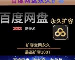 百度网盘无限扩容技术,外面卖399的,无论自己用还是用做引流都可以-网赚项目众筹网