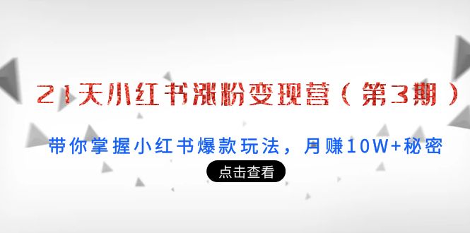 21天小红书涨粉变现营（第3期）：带你掌握小红书爆款玩法，月赚10W+秘密-网赚项目众筹网