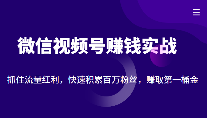 微信视频号赚钱实战：抓住流量红利，快速积累百万粉丝，赚取你的第一桶金-网赚项目众筹网