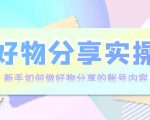 好物分享实操:新手如何做好物分享的账号内容,实操教学-网赚项目众筹网
