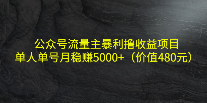 公众号流量主暴利撸收益项目，单人单号月稳赚5000+（价值480元）-网赚项目众筹网