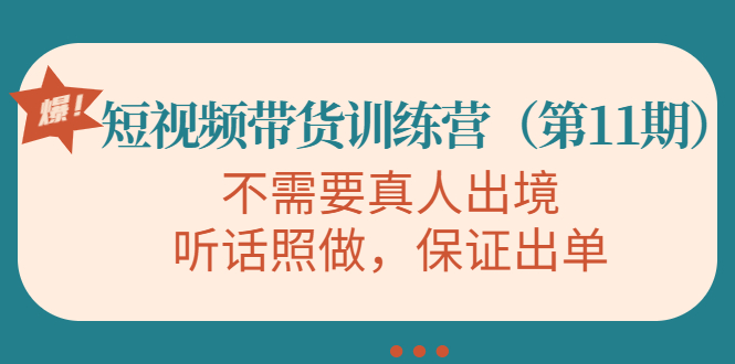 视频带货训练营，不需要真人出境，听话照做，保证出单（第11期）-网赚项目众筹网