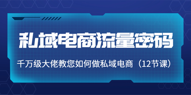 私域电商流量密码：千万级大佬教您如何做私域电商（12节课）-网赚项目众筹网