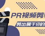 PR视频剪辑课:各种剪辑与视频特效玩法,剪出属于你的大片-网赚项目众筹网