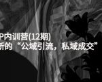 新媒体IP内训营(12期)，一套全新的“公域引流，私域成交”IP打法，直接带走-网赚项目众筹网