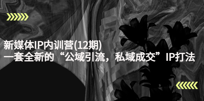 新媒体IP内训营(12期)，一套全新的“公域引流，私域成交”IP打法，直接带走-网赚项目众筹网