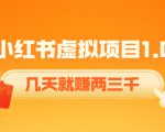 《小红书虚拟项目1.0》账号注册+养号+视频制作+引流+变现，几天就赚两三千-网赚项目众筹网