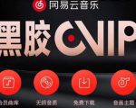 网易云音乐撸黑胶年卡及变现方法,收益可无限放大-网赚项目众筹网