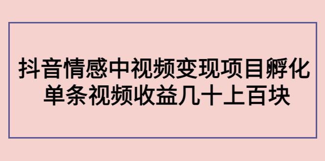 副业孵化营第5期：抖音情感中视频变现项目孵化 单条视频收益几十上百-网赚项目众筹网