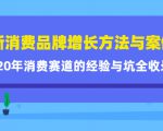 新消费品牌增长方法与案例精华课:20年消费赛道的经验与坑全收录-网赚项目众筹网