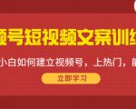 视频号短视频文案训练营：0基础小白如何建立视频号，上热门，能卖货！-网赚项目众筹网