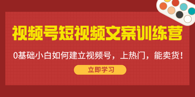 视频号短视频文案训练营：0基础小白如何建立视频号，上热门，能卖货！-网赚项目众筹网