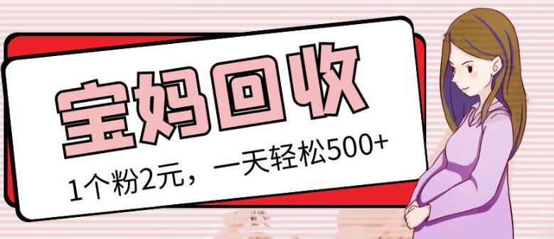 最新小红书母婴号宝妈粉回收项目，1个粉2元，一天轻松500+案例分享【粉丝包回收】-网赚项目众筹网