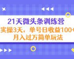 21天微头条训练营,实操3天,单号日收益100+月入过万简单玩法-网赚项目众筹网