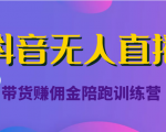 抖音无人直播带货赚佣金陪跑训练营(价值6980元)-网赚项目众筹网
