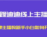 暴躁迪迪线上主播课,金牌主播教新手小白如何开播-网赚项目众筹网