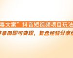 “毒文案”抖音短视频项目玩法，小程序拿图即可变现，复盘经验分享给大家-网赚项目众筹网
